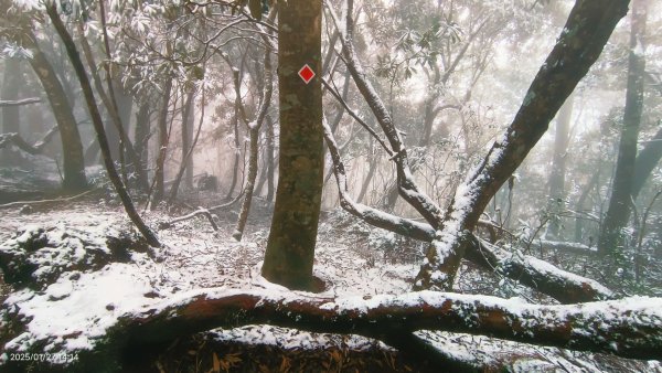 我的2025第一場雪，包場夫婦山，獨享差強人意的雪景&雲海。1/272699864