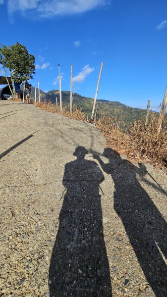 【走進望鄉部落，抬頭就見玉山】獵人古道之望美山、瓊山O繞16K。2972260