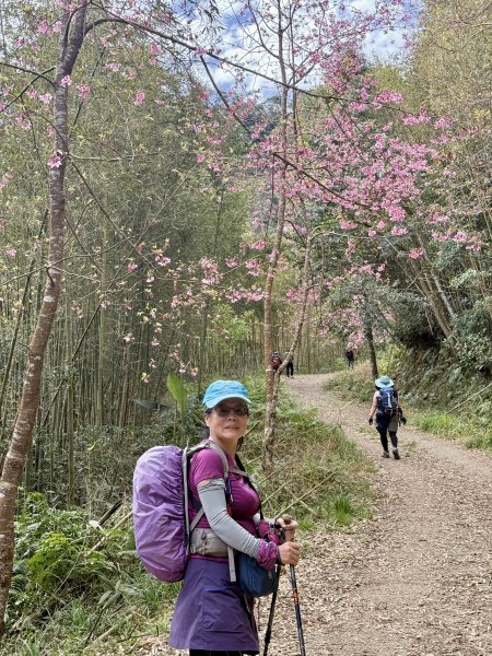 鵝公髻山2724385
