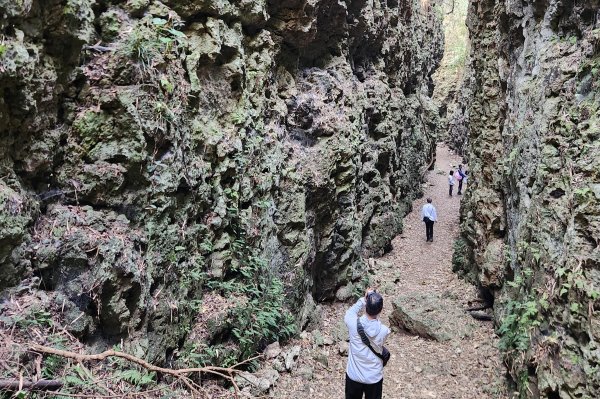 高雄小百岳，大崗山，盤龍峽谷一線天
