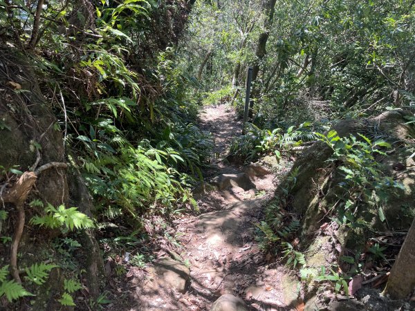 [微笑山線_第九段] 2025_0914 二格山系_皇帝殿西峰2889668