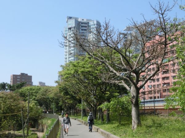 紅樹林步道．淡水文化園區111081