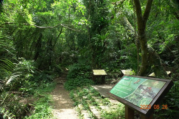 基隆 頂寮山、龍門山、五分山、頂子寮山2265991