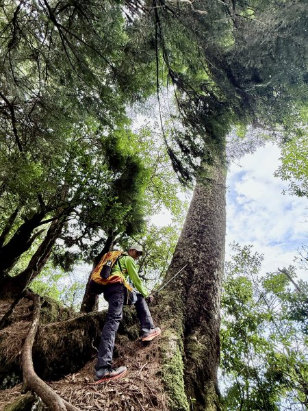 船型山神木悠遊    2025.09.222893828