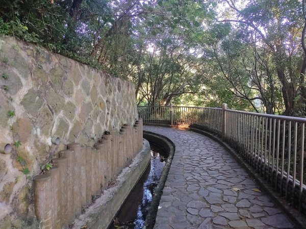1121104貴子坑親山步道3099486