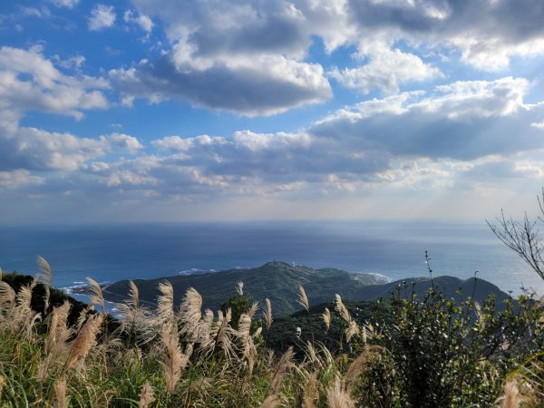 雪山尾稜＋桃源谷(草嶺線＋大溪線)＋草嶺古道♡雪尾草8字縱走♡1540525