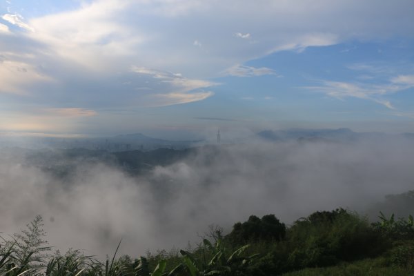 雨後猴山坑山嵐飄渺2579431