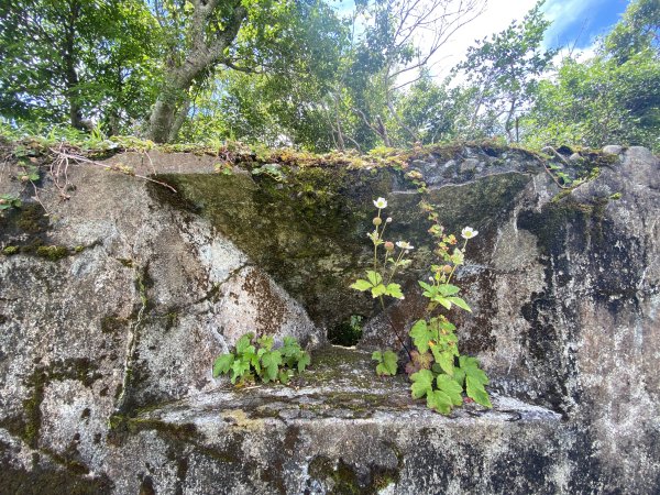 2025.6.28 煤源上李崠山經八五山 O型2824319