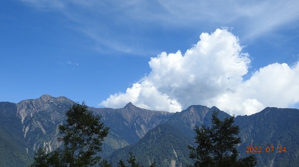 最高小百岳-大塔山2663M&阿里山二延平步道1775108