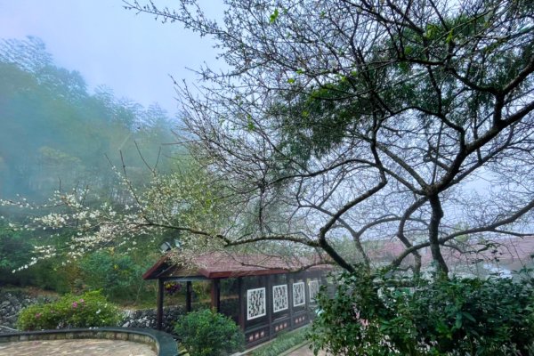 雲霧遊樂園：空氣圖書館走馬鞍山1560502