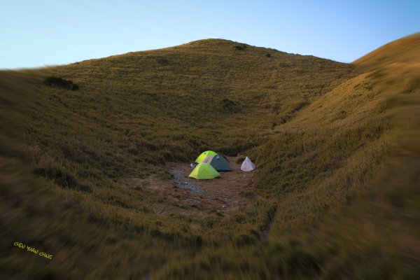 大小劍-油婆蘭全紀錄2674280