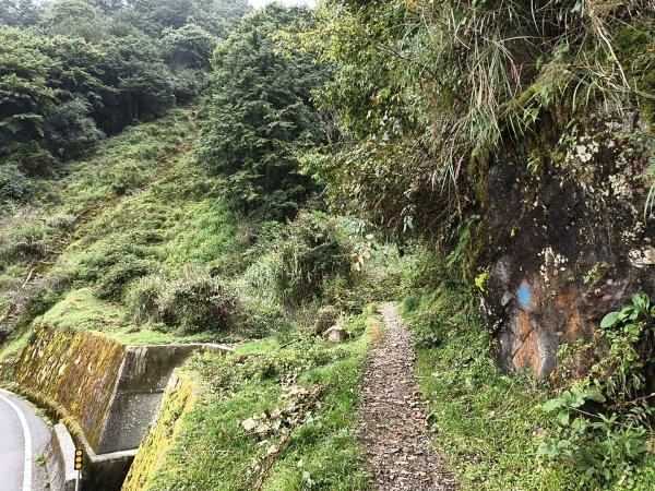 [玉山尋寶任務-08/12] 2025_0824 鹿林山步道_鹿林山2870798
