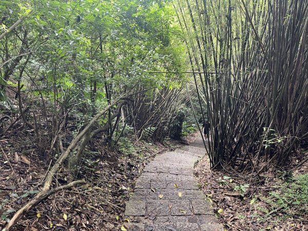 [跟著2025雙北世壯運探索雙北市-6/21] 2025_0614 文化排擊徑（文化大學－天母古道）2814411