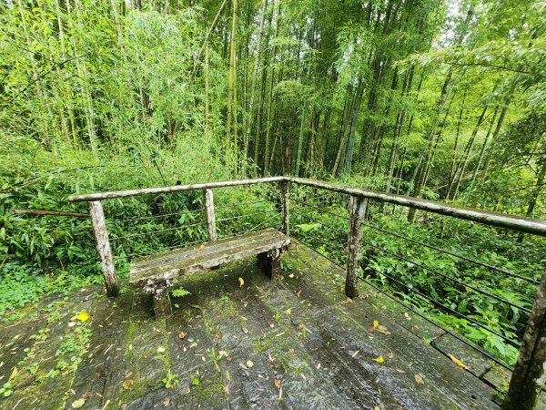 20250719頂湖上大凍山2907155