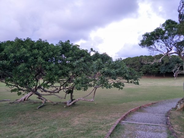 社頂生態保護區1343648