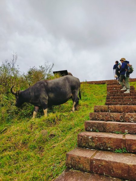 灣坑頭山 海拔：616 小百岳82 與桃源谷大溪線1586466