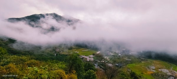 #陽明山 趴趴走12/12950343