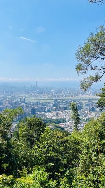 金面山親山步道2867840
