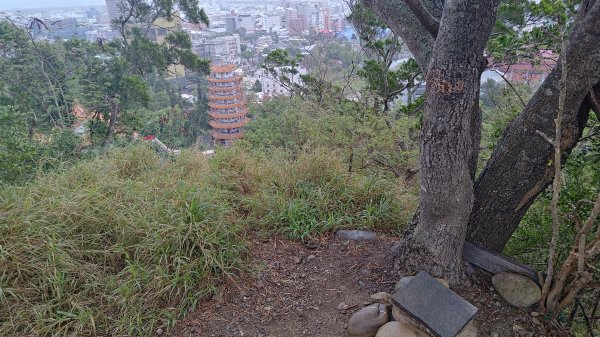 台東鯉魚山3017920