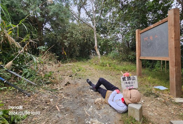 桃園復興枕頭山、薑母島O型走(角板山賞梅)2398169