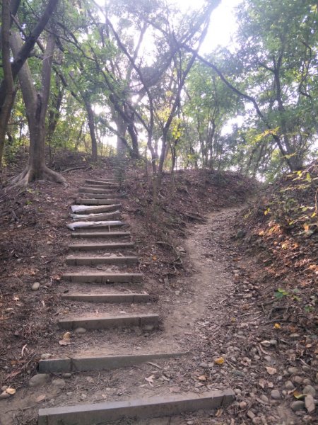 鳳凰山步道1518219