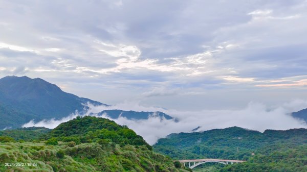 金山灣雨瀑+漁火點點，追花是簡單的快樂，賞花是恬淡的幸褔2513392