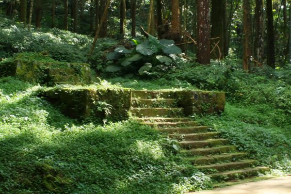 奮起湖步道194620