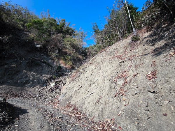 2026-02-10 白雲山2999920