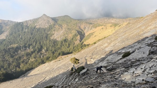 南湖～馬比杉山 2026 04/10-12 三天兩夜3034449