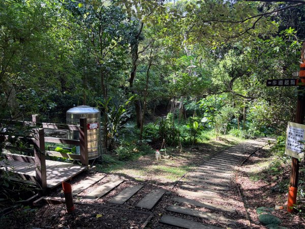 犁頭山、文山步道2835638