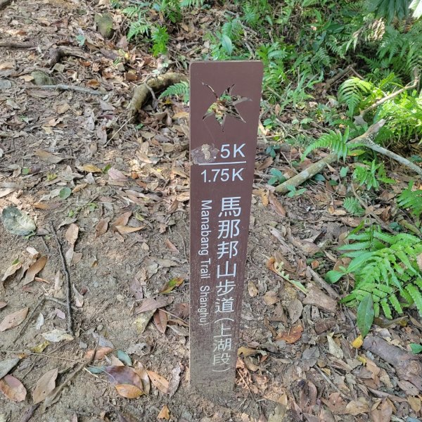 馬那邦山、細道邦山（小百岳）2435565