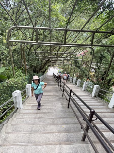 南勢角山 2025.07.202864343