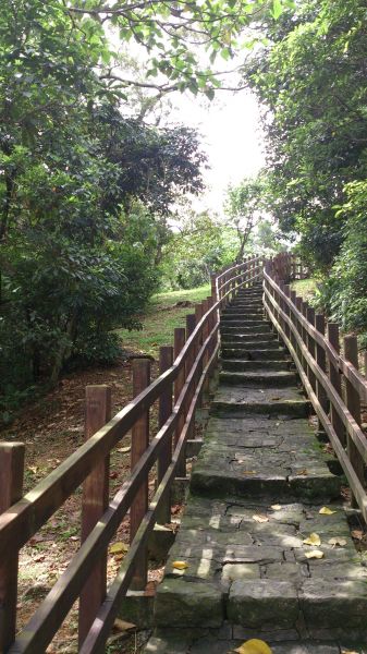 碧湖公園登山步道114161