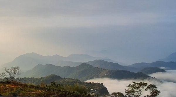 阿里山雲瀑&雲海/富士山直播即時視訊832069