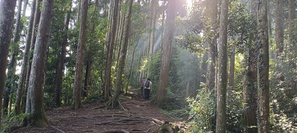 20240720_油羅山+太閣南山2555903