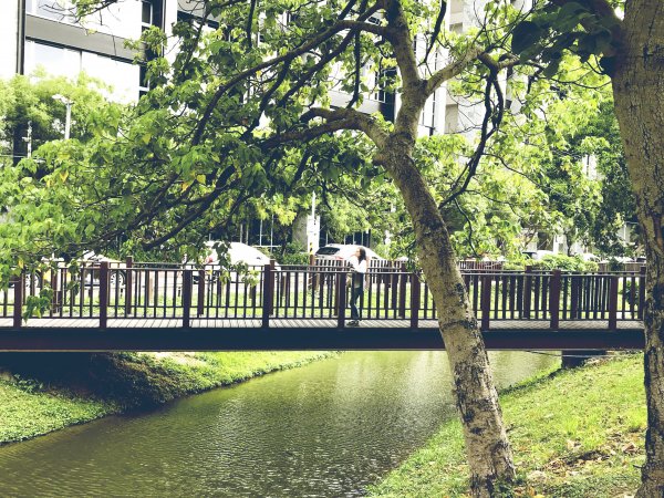 【新聞】飛鳥綠水賞果輕旅行 奇岩生態公園fun心遊