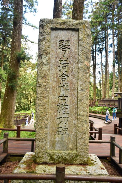 20260207阿里山健行追公車3010602