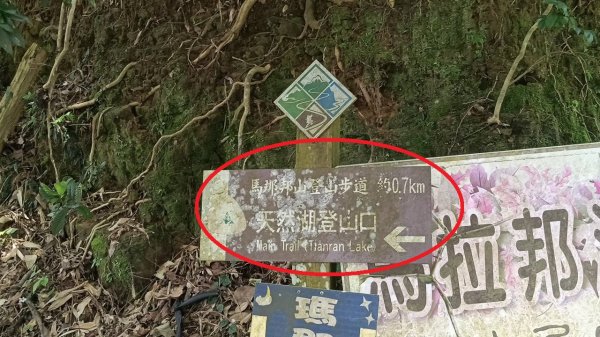 2025 0929 馬那邦山 - 天然湖 登山口2898147