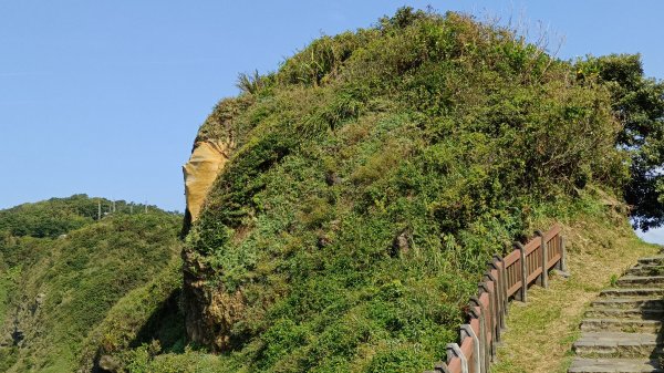 (姨婆趴趴走)第二十集:基隆望幽谷、潮境公園、八斗子輕鬆行2251955