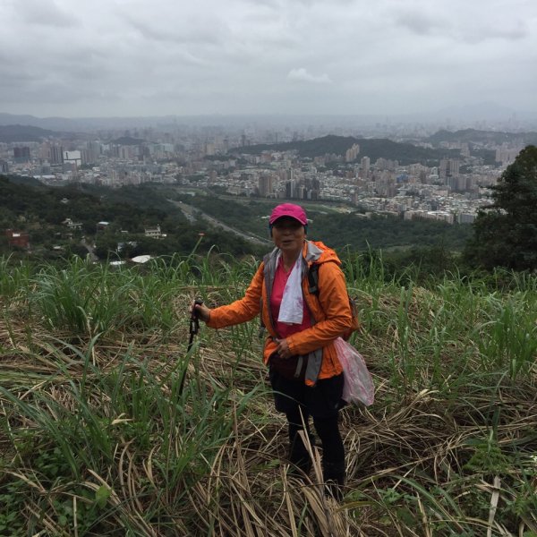 北縱七段抓了10隻博蒂742206