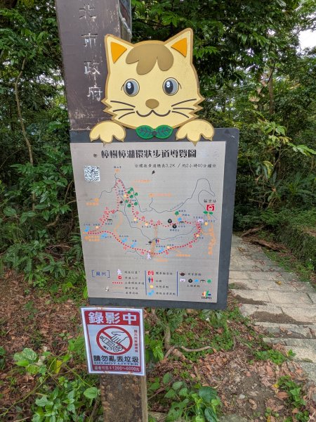 2026.6.19端午節走訪待老坑山3078421