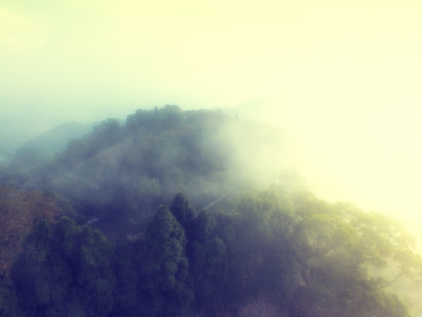 苗栗--薑麻園步道7479