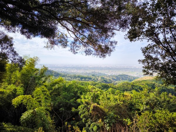 2025-12-14 大肚萬里長城步道、環保公園步道、旗開得勝步道2968977