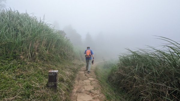 112.06.03風櫃嘴-頂山-石梯嶺-擎天崗東峰-頂山西南峰2172367