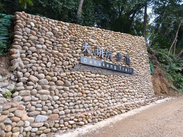 微笑山線大棟山系百年大榕樹段+大湖坑步道2981040