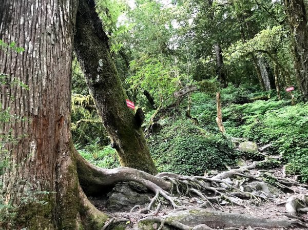 鎮西堡毒龍潭AB區神木201805131963050