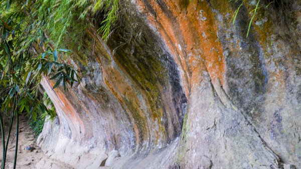 鳶山封面