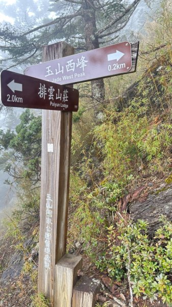 東埔-排雲-玉山西峰-玉山主峰2753132