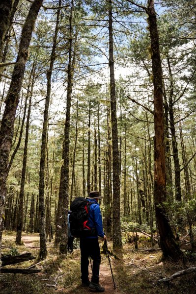 戒茂斯上嘉明湖三天兩夜2769410