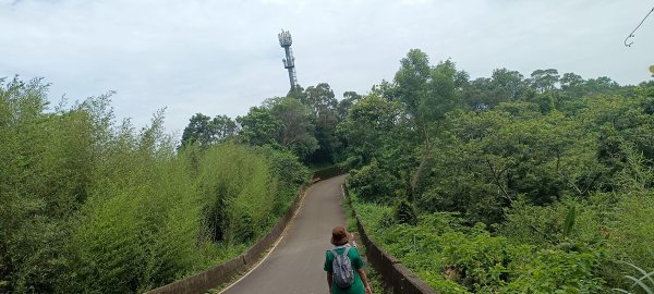 20230618_寶二水庫環湖步道+面桶寮山2186941